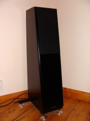 Apex in black ash