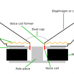 Speaker Cone Cross-section