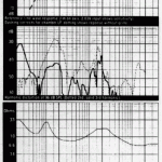 Eden, Hi-Fi Choice, Review, Jan 89 graphs